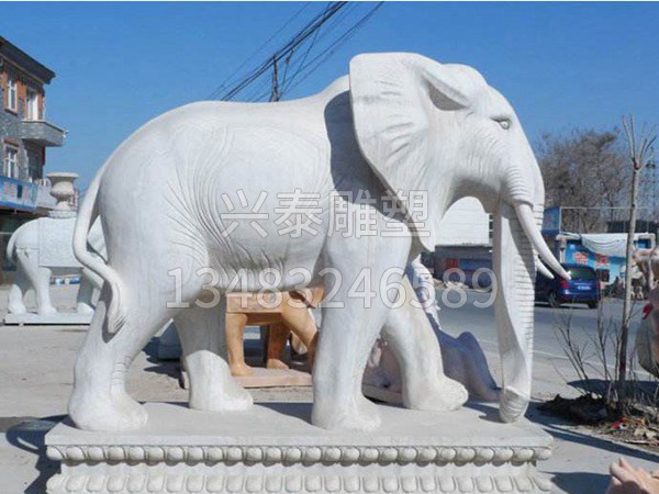 动物石雕大象 (16)